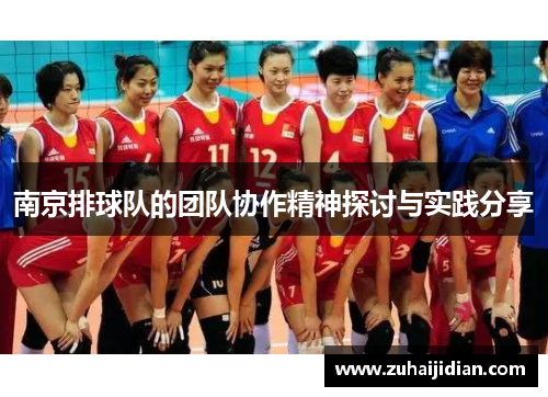 南京排球队的团队协作精神探讨与实践分享