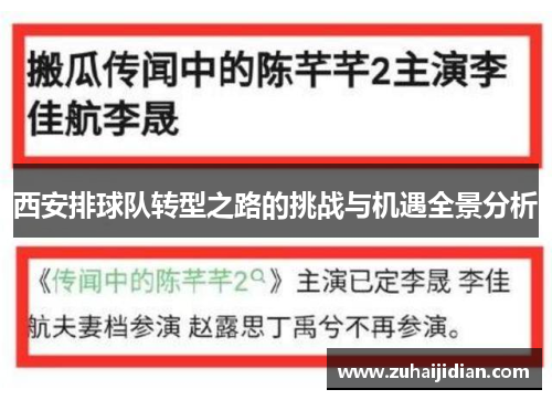 西安排球队转型之路的挑战与机遇全景分析
