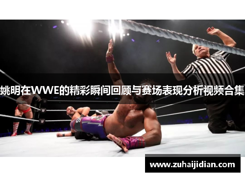 姚明在WWE的精彩瞬间回顾与赛场表现分析视频合集